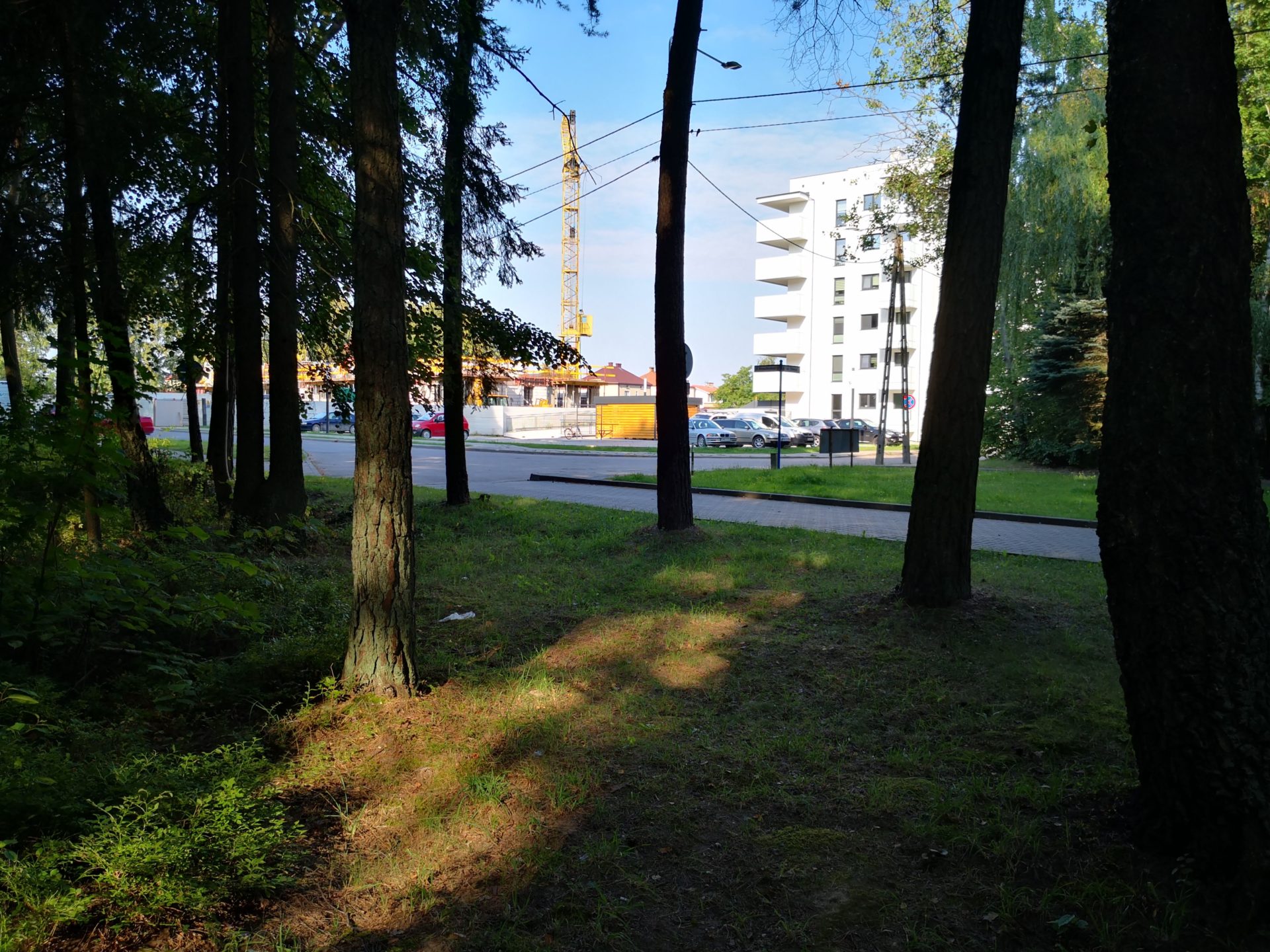 Mońki - Widok na inwestycję od strony lasu